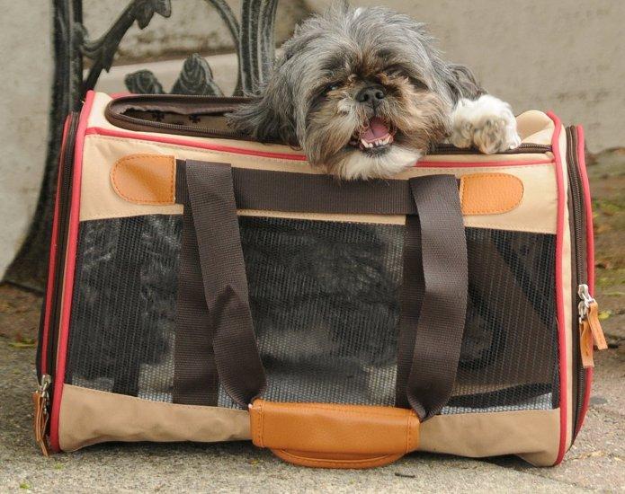 Sherpa element outlet deluxe pet carrier