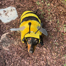 Load image into Gallery viewer, Bumble Bee | Dog Costume