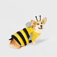 Load image into Gallery viewer, Bumble Bee | Dog Costume