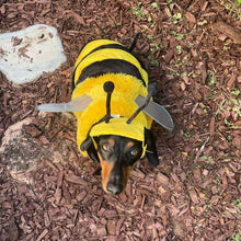 Load image into Gallery viewer, Bumble Bee | Dog Costume
