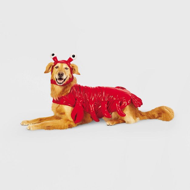 Lobster | Dog Costume