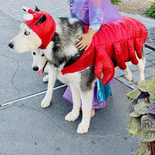 Load image into Gallery viewer, Lobster | Dog Costume
